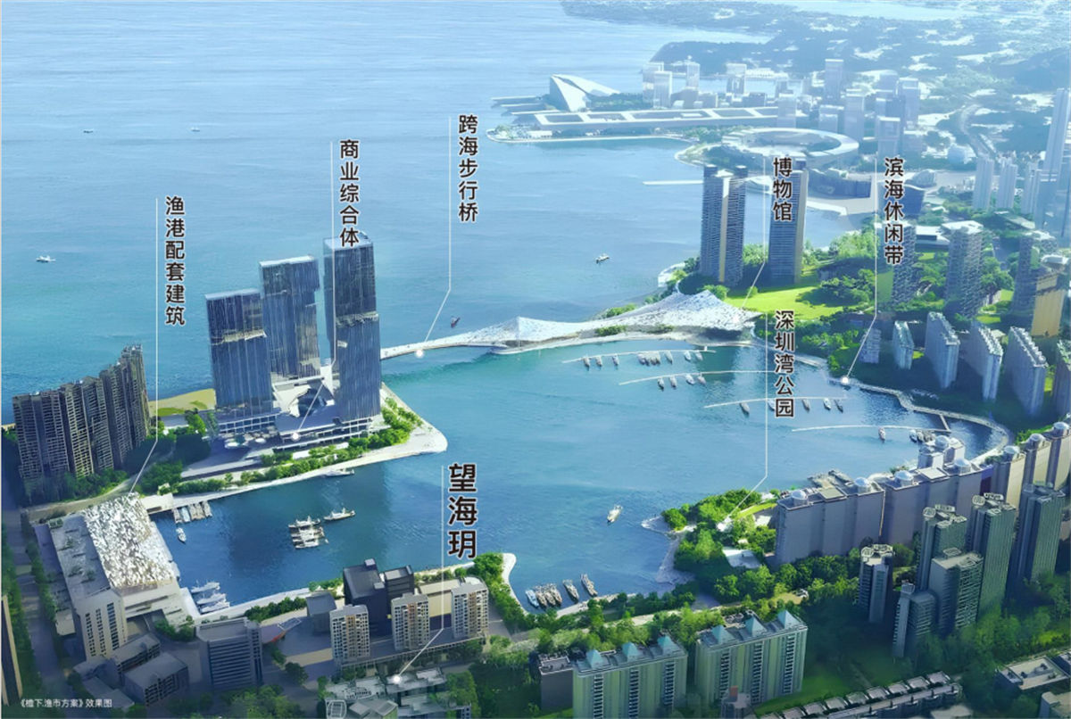 招商望海玥